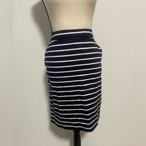 The Limited Lined Pencil Skirt With Pockets